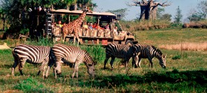 kilimanjaro safaris expedition ride